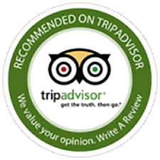 Trip Advisor